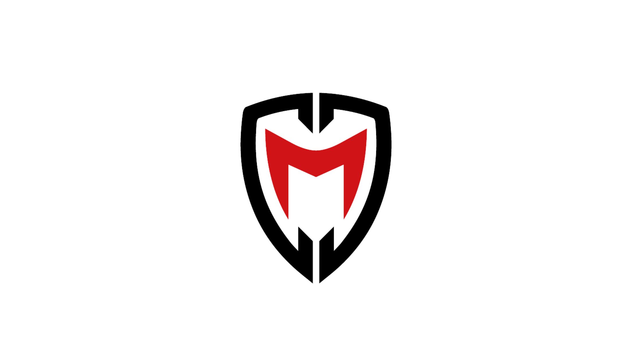 ISO consultant pro