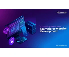 Complete Guide to Custom eCommerce Website Development