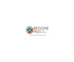 Top-rated Bed Bug Control Services in Bromley - Begone Pest