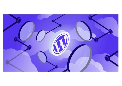 Discover the Top WordPress Companies in Tricity | RND Experts