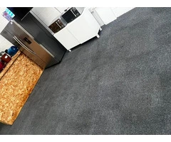 Revolutionary carpet cleaning in North East London