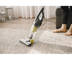 Refresh Your Space: Professional Carpet Cleaning Services