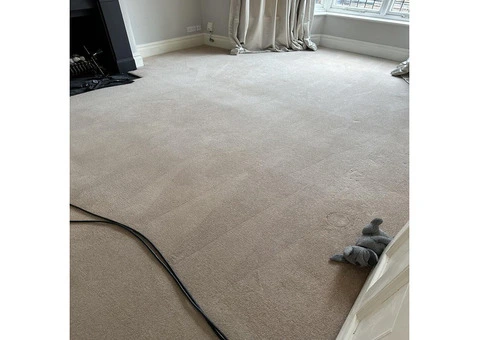 Elite Carpet Cleaning in North West London