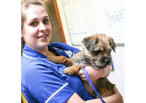 Premium Veterinary Clinic Services at Conan Vet