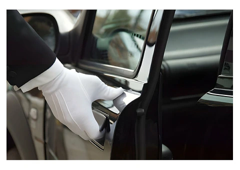 Private Chauffeur Service - Lanz CTS - 1/3