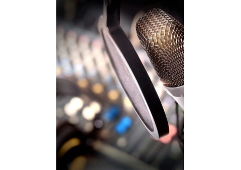 Harmony in Voices: A Masterful Dubbing Experience.