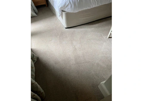 Proficient carpet cleaning in South West London