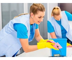 The Essential Role of Domestic Cleaners in Urban Living
