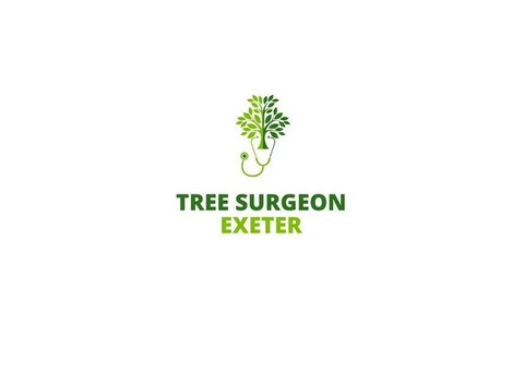 Tree Surgeon Exeter