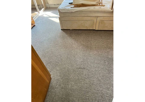 Ealing’s First Choice for Carpet Cleaning