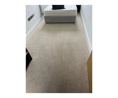 Kensington’s Trusted Carpet Cleaning