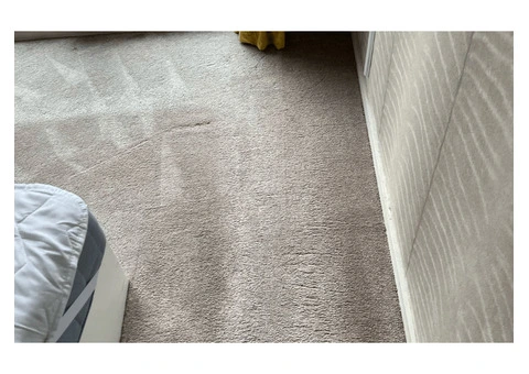 Top Carpet Cleaning in Harrow