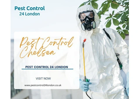 Pest Control 24 London - Cost-Effective Pest Control Solutions in Chelsea
