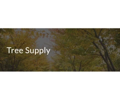 Tree Supply Blog: The Best and Most Trusted Company for Tree Service