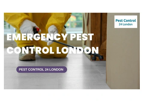 A Emergency Pest Control Specialist in London is at your disposal 24 hours a day!