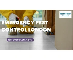 A Emergency Pest Control Specialist in London is at your disposal 24 hours a day!