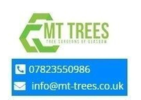 Elevating Green Spaces with MT Trees