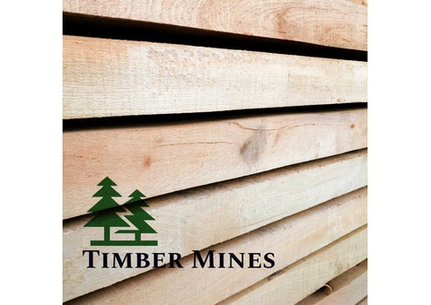 Green Oak Sleepers 100mm x 200mm x 2.4m only £42 ea. - 5/6