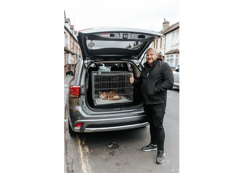 PET TRANSPORTATION