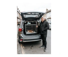 PET TRANSPORTATION