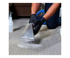 Revitalize Your Home with Expert Carpet Cleaning in Middlesbrough!