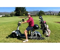 Citycoco Battery1500W Lithium Fat Wheel Electric Scooter 3000W 2000W Golf Cart