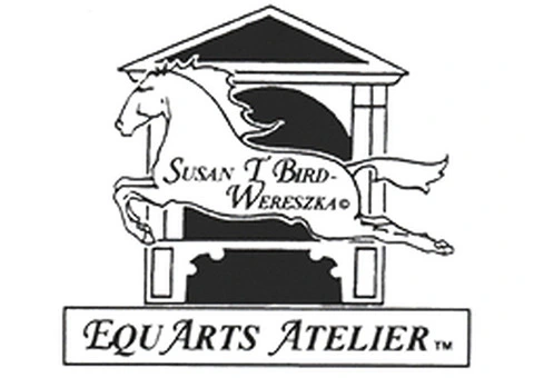 Horse Drawing Courses by Lipizzaner Horse Classical Training