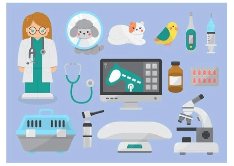 Essential Veterinary Equipment Every Pet Owner Should Know About