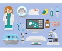 Essential Veterinary Equipment Every Pet Owner Should Know About