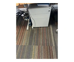East London’s Leading Carpet Cleaning Professionals