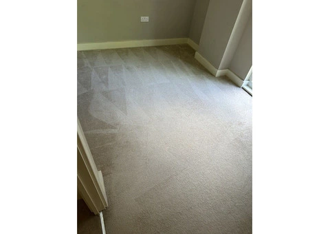 West London’s Finest Carpet Cleaning Experts