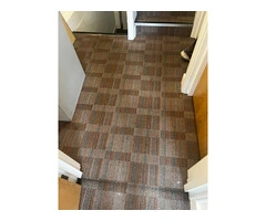 North London’s Leading Carpet Cleaning Professionals!