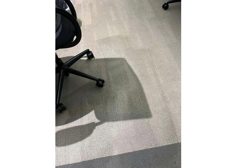 Quick and Efficient Carpet Cleaning in North East London