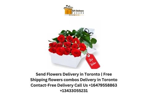 Send Flowers Delivery in Toronto | Free Shipping flowers combos Delivery in Toronto - 1/4
