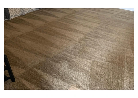 Exceptional Carpet Cleaning in London
