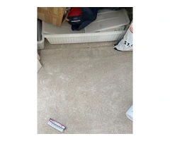 Thorough Carpet Cleaning for South East London