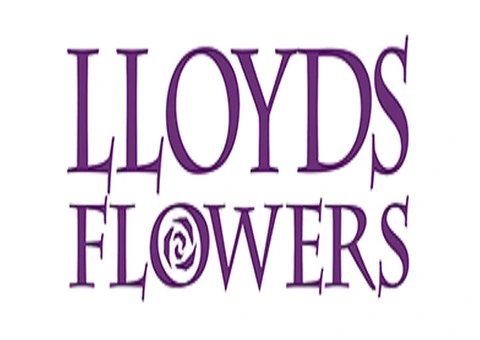 Lloyds Flowers