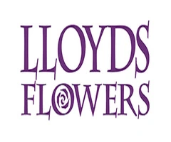 Lloyds Flowers