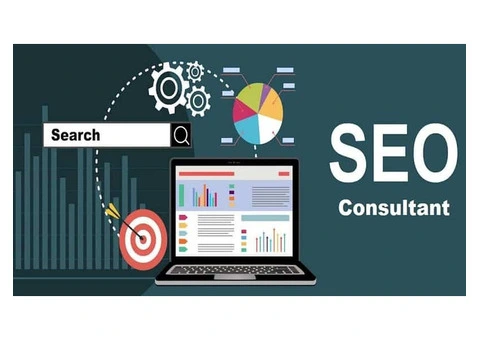 Get SEO Audit Done by No. 1 SEO Consultant in Surrey - Grasshopper UK