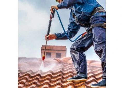 Transform Your Home's Appeal with Professional Roof Cleaning in Bristol!