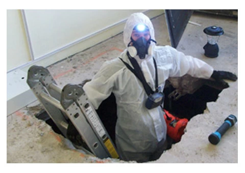 Meyer Surveys Ltd - Asbestos Investigation Experts In South West London - 2/4