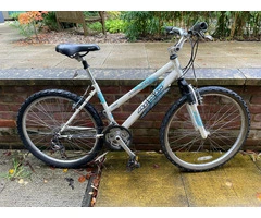 White & Blue MTB Apollo
