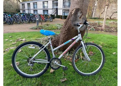 Silver MTB Claudbutler