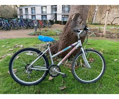 Silver MTB Claudbutler