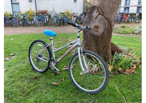Silver MTB Claudbutler - 2/2