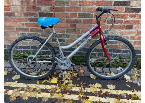 Silver & Red MTB Legend