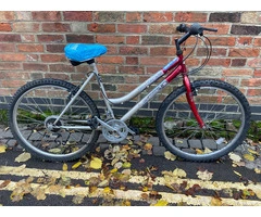 Silver & Red MTB Legend