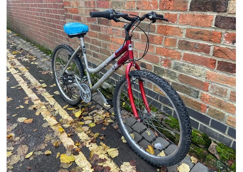 Silver & Red MTB Legend - 2/2