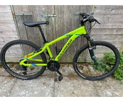 Green & Blue MTB Rock Rider