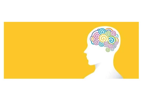 Logical Reasoning Tests